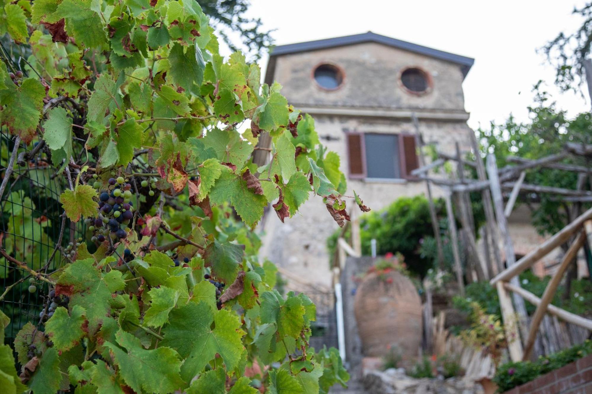 Il Melograno In Costa D'Amalfi - Romantic Experience Vietri エクステリア 写真